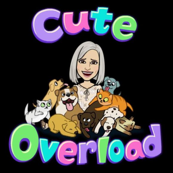 Meet your Posher, Nancy - Picture 1 of 1